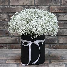 Цветочная композиция из Гипсофила в шляпной коробке в Баксане