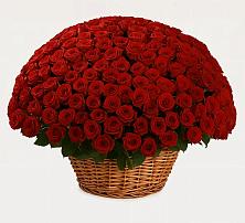 Премиум букет из: Розы #REPLACE_PRED# Баксане