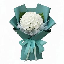 Букет цветов из:  Гортензия #REPLACE_PRED# Баксане